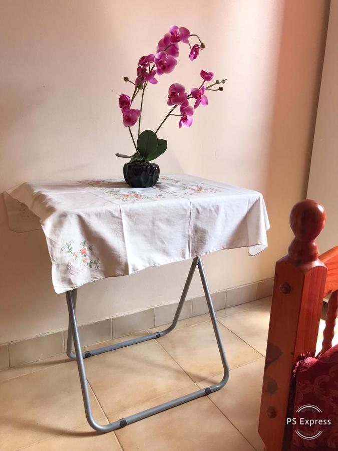 Apartament Escale Au Jardin Des Plantes Fort-de-France Zewnętrze zdjęcie